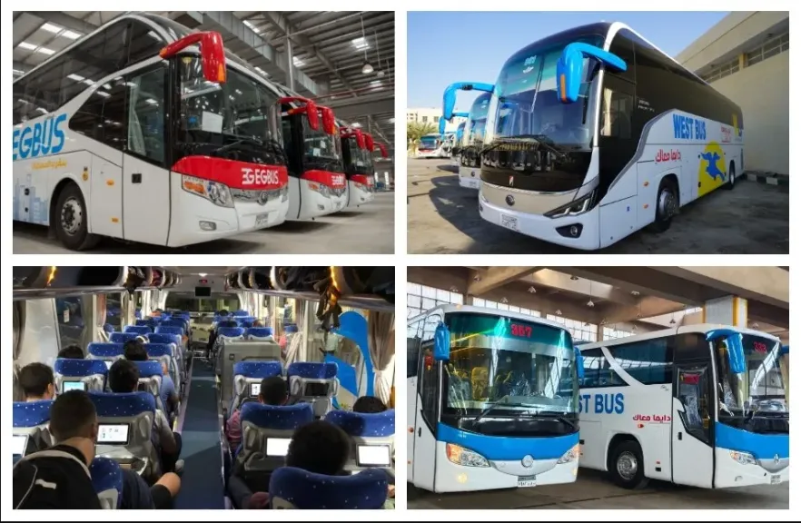 انطلاقة كبيرة وقفزات هائلة في أسطول نقل الركاب والبضائع بالشركة القابضة للنقل البحري والبري |صور