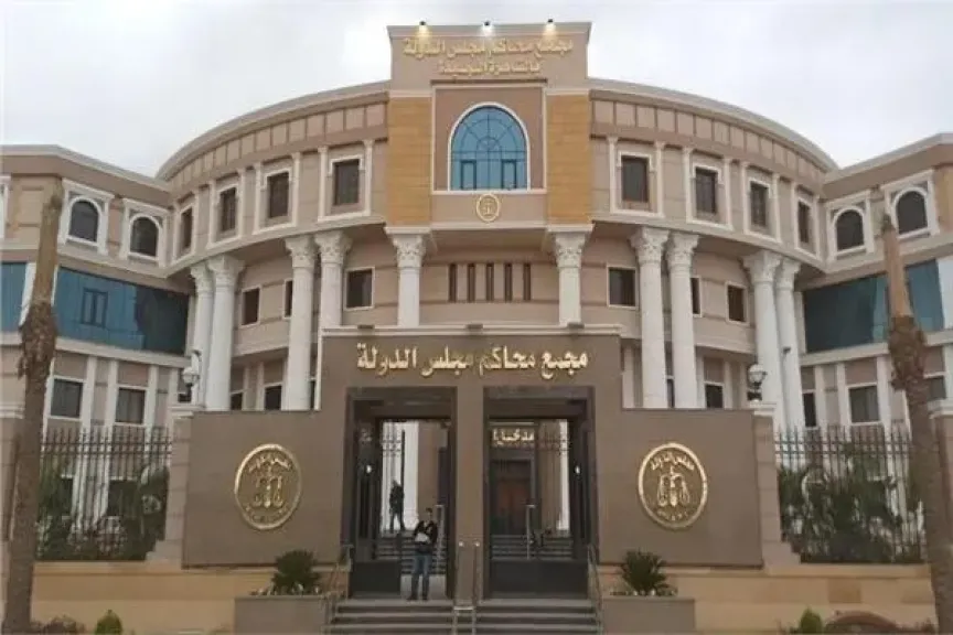 29 طعناً أمام مجلس الدولة على انتخابات النواب ‎