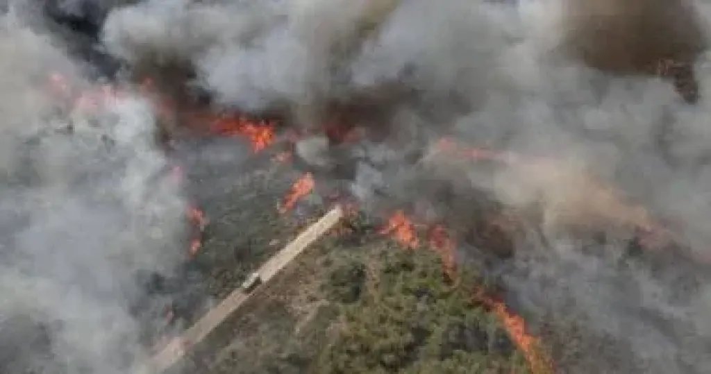 مقتل 4 من رجال الأمن السورى فى هجوم مسلح بريف إدلب