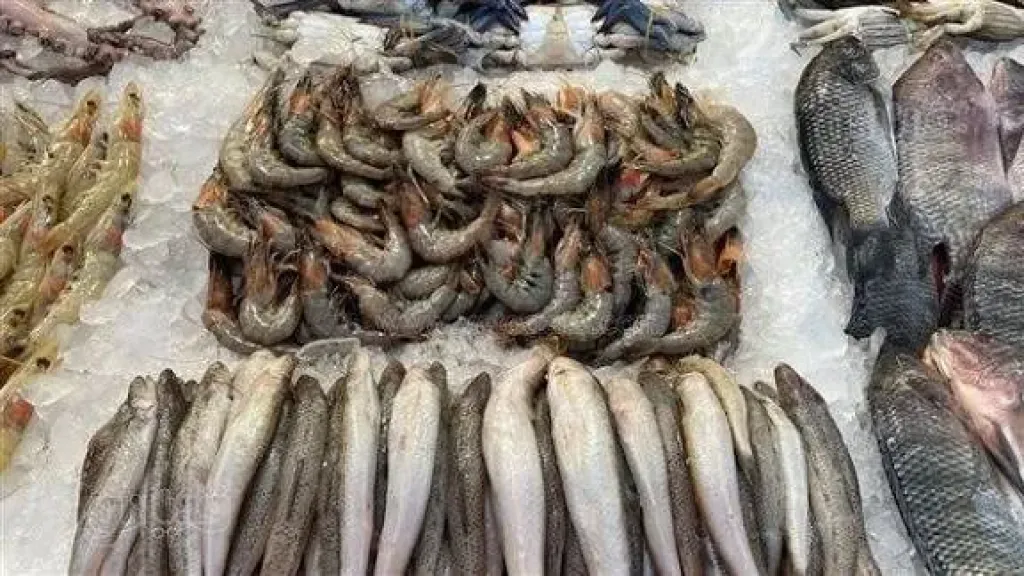 سعر السمك اليوم، البلطي يرتفع 5 جنيهات في سوق العبور