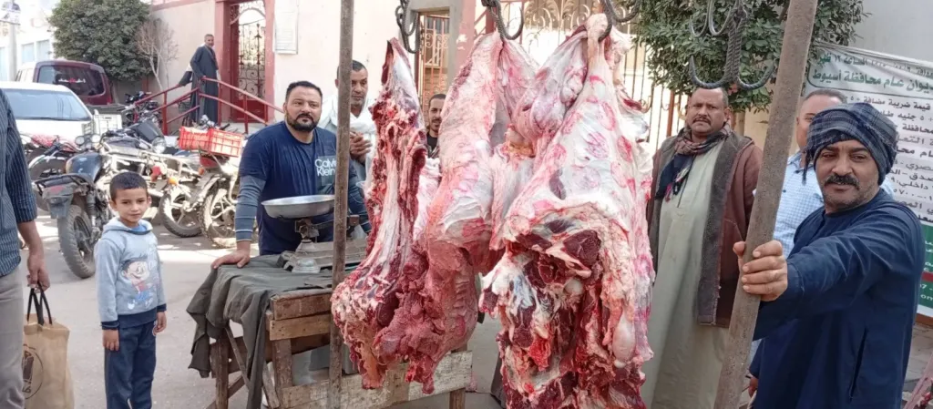 محافظ أسيوط يعلن فتح منفذ جديد لبيع اللحوم البلدية بمركز منفلوط