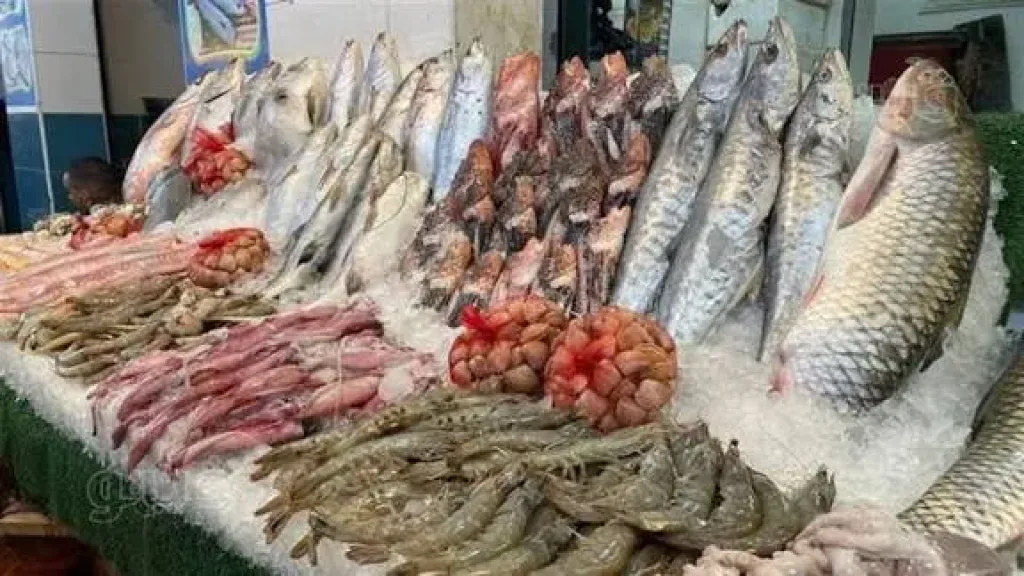 البلطي والجمبري يواصلان الارتفاع، سعر السمك اليوم في سوق العبور