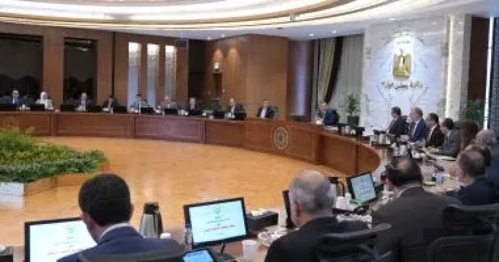 الحكومة: إصدار تشريع خاص لحماية المطورين الجادين ومحاسبة غير الجادين