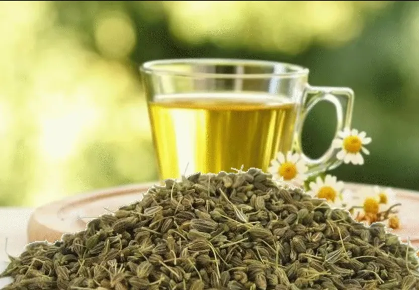 فوائد متعددة لشرب اليانسون يوميا.. تعرف عليها