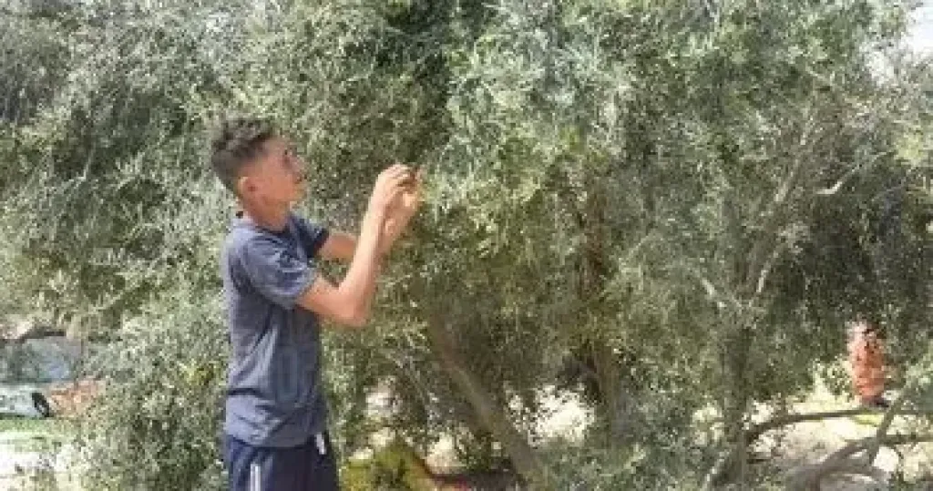 ”بحوث الصحراء” يختتم سلسلة حقلية ايام مكثفة لدعم الزراعة المستدامة في توشكي والوادي الجديد