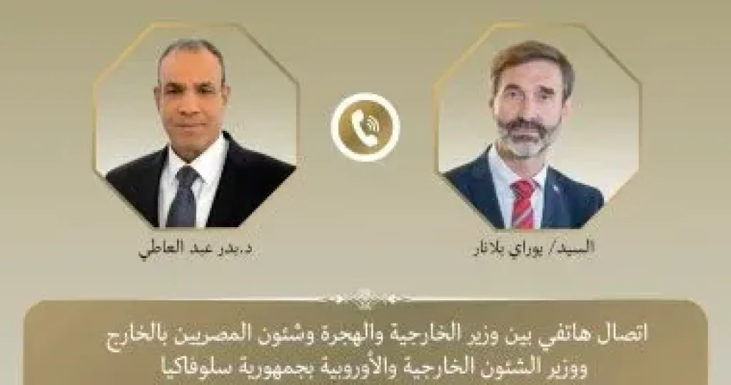 وزير الخارجية يؤكد أهمية ضمان استدامة وقف إطلاق النار فى غزة