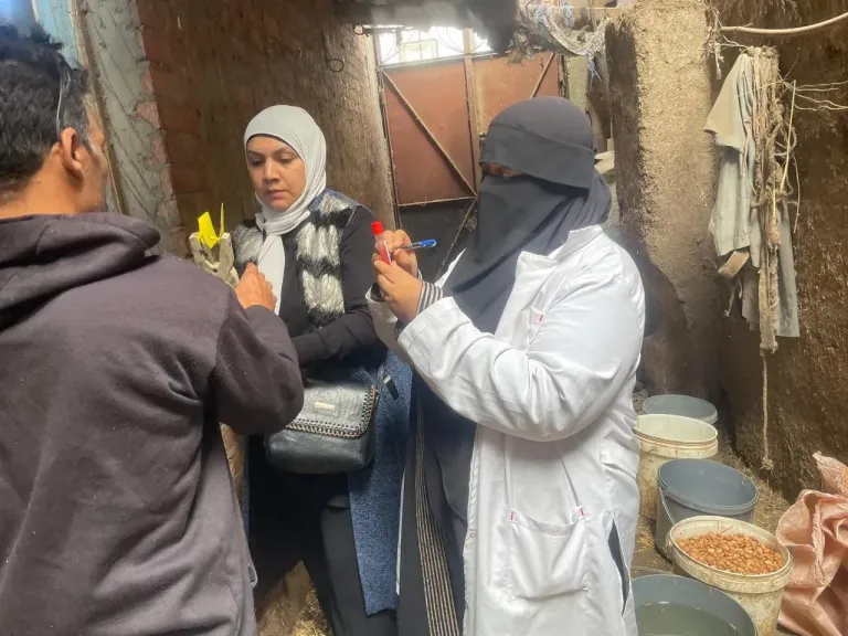 بيطرى الشرقية:الانتهاء من فحص 5579ماشية ضد البروسيلا والسل البقرى