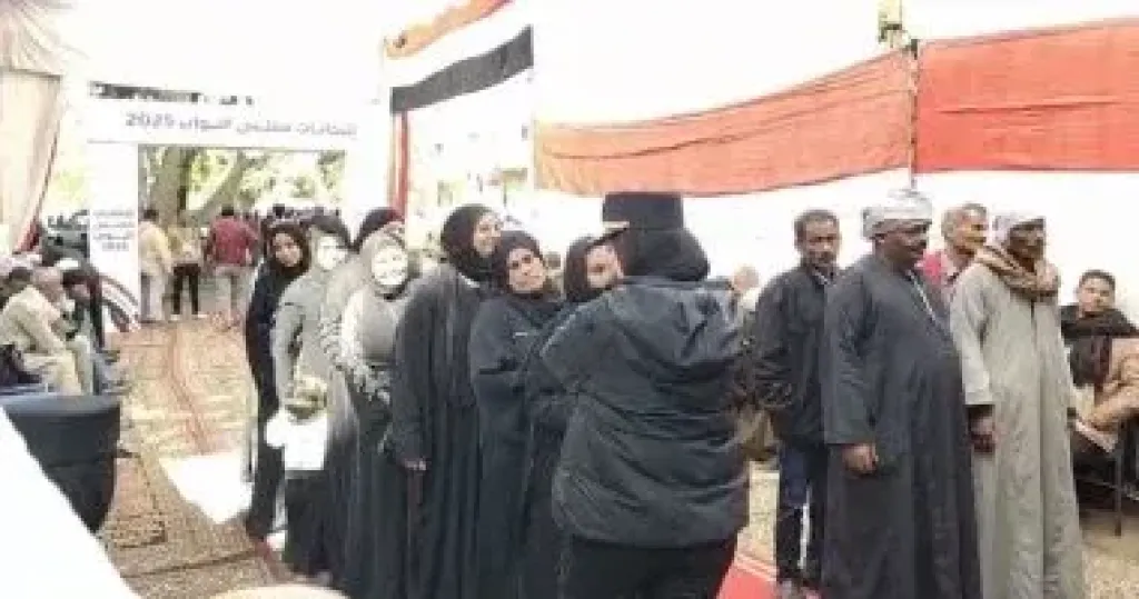 ضبط شخصين حاولا التصويت ببطاقات الغير في انتخابات مجلس النواب بالشرقية