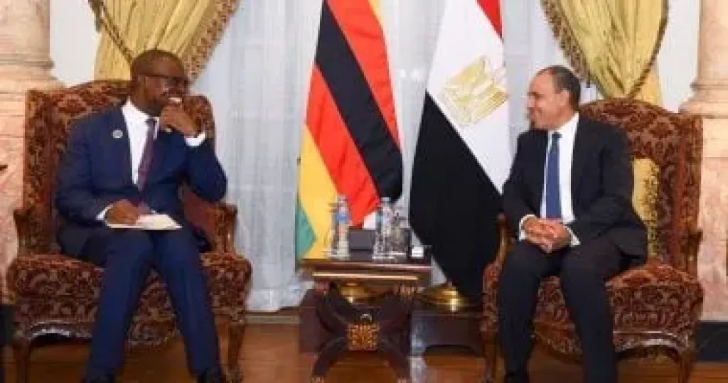 بدر عبد العاطى يلتقى وزير خارجية زيمبابوى لتعزيز التعاون الثنائى