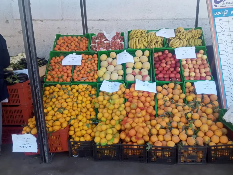 وزير التموين ومحافظ الجيزة يفتتحان سوق اليوم الواحد في حدائق الاهرام