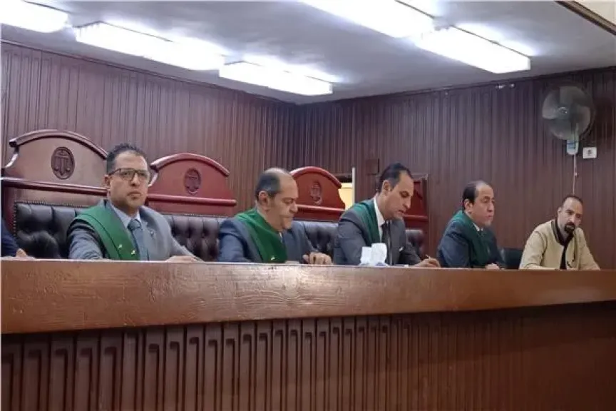 هيئة المحكمة برئاسة المستشار أمير فايز حنا