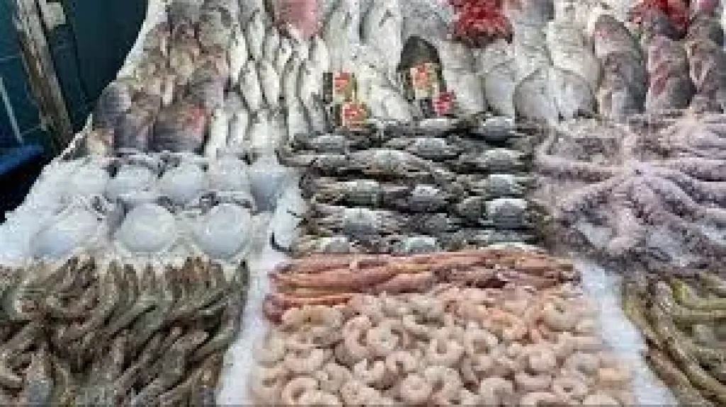 السردين يسجل 110 جنيهات، أسعار الأسماك اليوم بمحافظة البحيرة