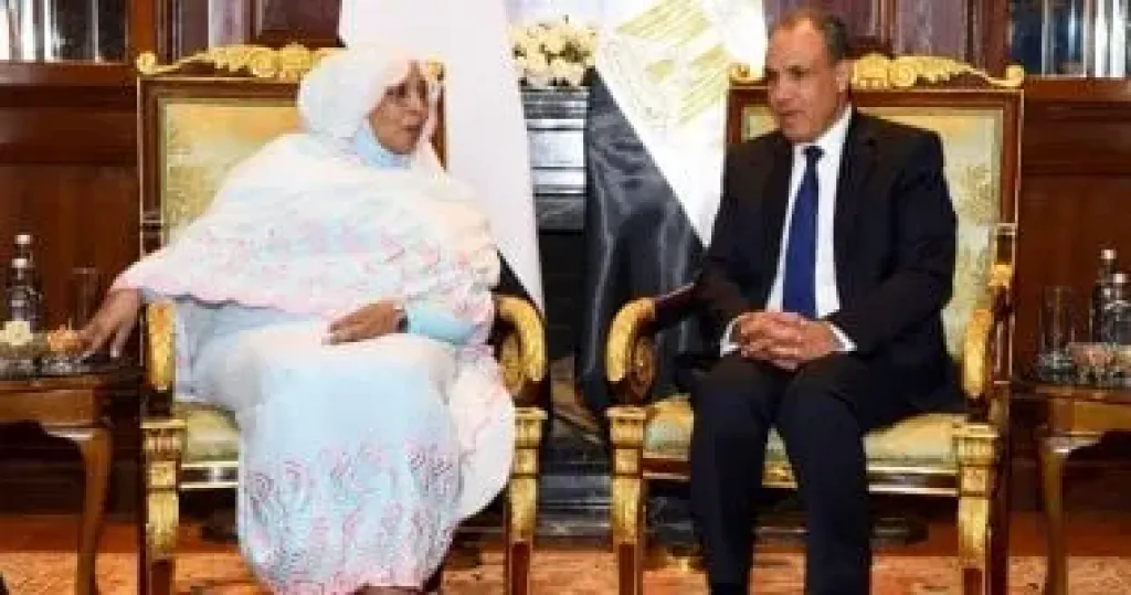 جانب من اللقاء 