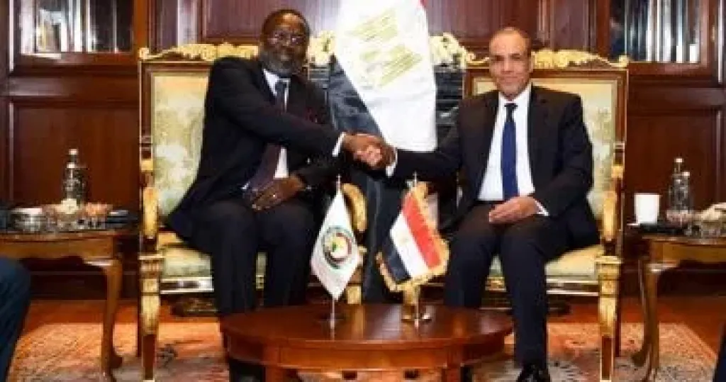 وزير الخارجية يلتقي رئيس مفوضية الإيكواس لبحث سبل تعزيز التعاون المشترك