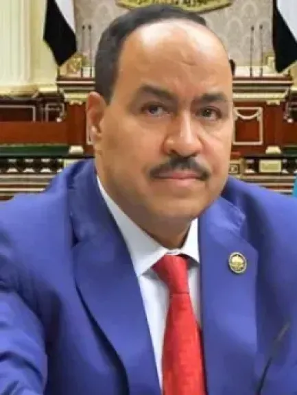 النائب أحمد قورة يكتب: الرئيس السيسى وشى جين بيغ.. حوار الكبار فى القاهرة