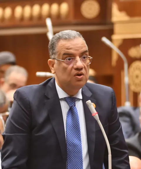 نواب الشيوخ يرحبون بتغليظ عقوبات سرقة الكهرباء ويطالبون بتقنيات حديثة لمراقبتها