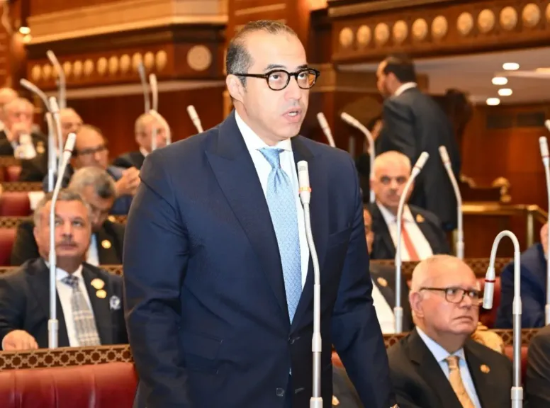 وزير الشئون البرلمانية يدافع عن الحكومة: الدولة لا تحتكر الكهرباء