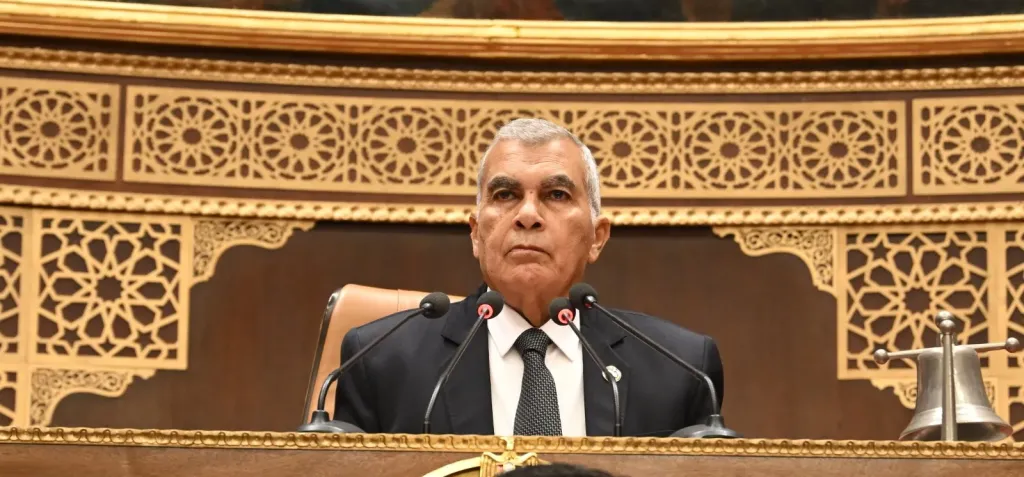 مجلس الشيوخ يوافق نهائيًا على تعديلات قانون الكهرباء |صور