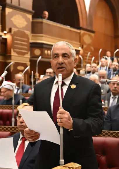 وكيل أول مجلس الشيوخ: حماية الكهرباء جزء من الأمن القومى للدولة