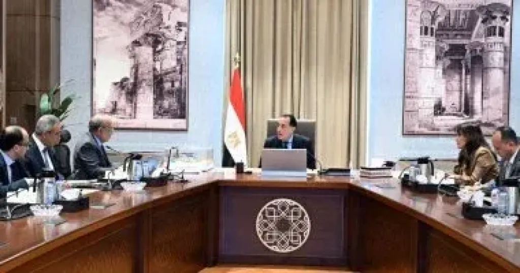 مدبولى: توجيهات من الرئيس بتوفير أوجه الدعم المطلوبة لمشروعات الطاقة المتجددة