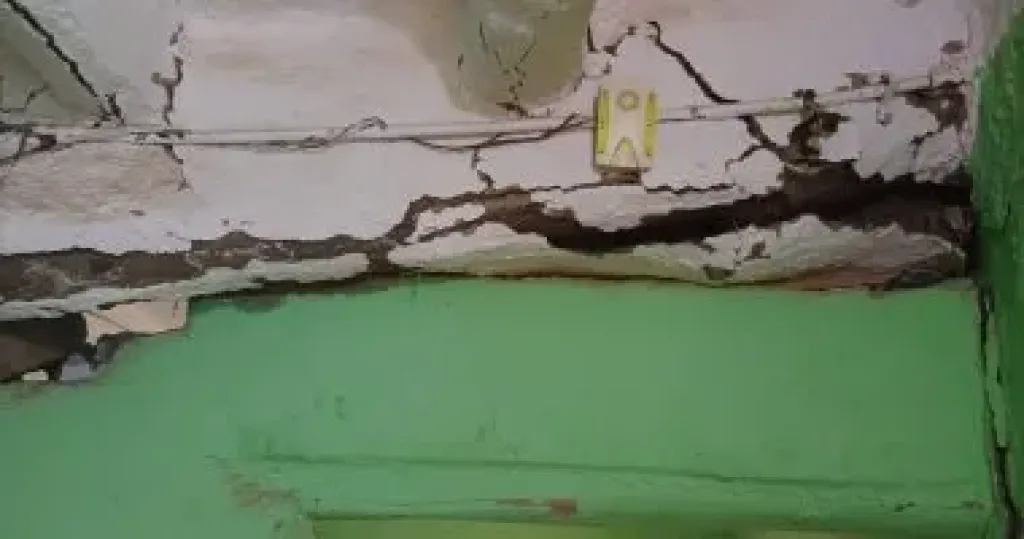 زراعة الأقصر تبدأ حصر قرية الدير لاكتشاف الإصابات بحشرة النمل الأبيض