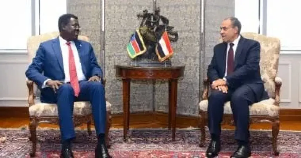 مشاورات سياسية بين وزير الخارجية ونظيره في جنوب السودان