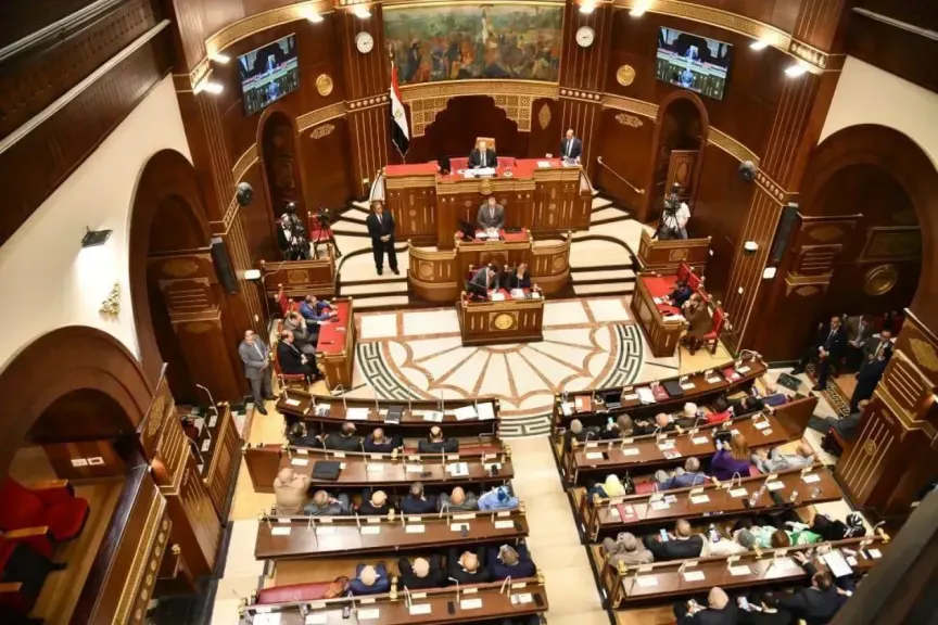 بحضور وزير الخارجية.. حقوق إنسان الشيوخ تناقش غداًُ جهود الوزارة على المستويين الإقليمي والدولي