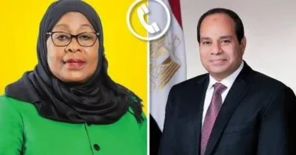 الرئيس السيسى: مستعدون لدفع المزيد من الاستثمارات المصرية إلى السوق التنزانية