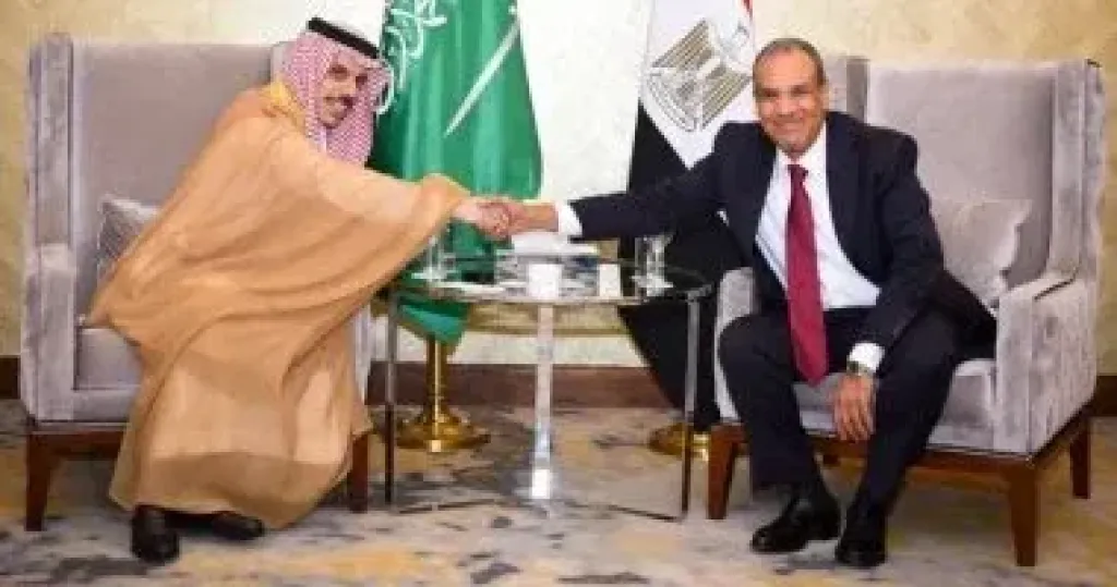 وزيرا خارجية مصر والسعودية يستعرضان جهود تثبيت وقف إطلاق النار فى غزة