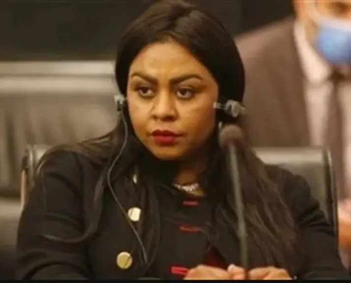 النائبة نيفين حمدي: تسلم مصر رئاسة المجموعة الإفريقية في فيينا يعكس ثقة القارة في دورها القيادي