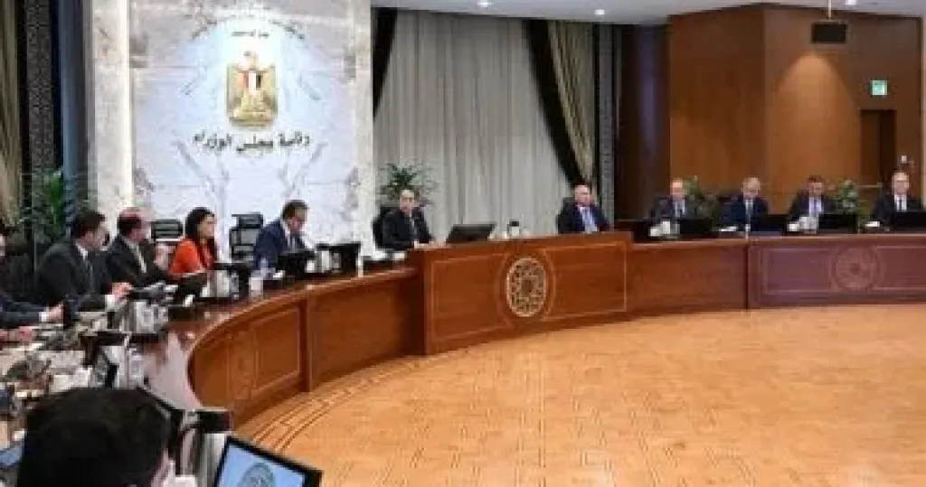 رئيس الوزراء يتابع جهود صياغة الرؤية المستقبلية للسياسات الاستثمارية المحفزة