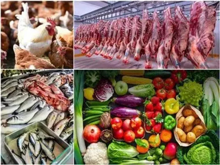 بمناسبة أعياد الميلاد القابضة للصناعات الغذائية تطرح لحومًا وأسماكًا بتخفيضات تصل إلى 20%