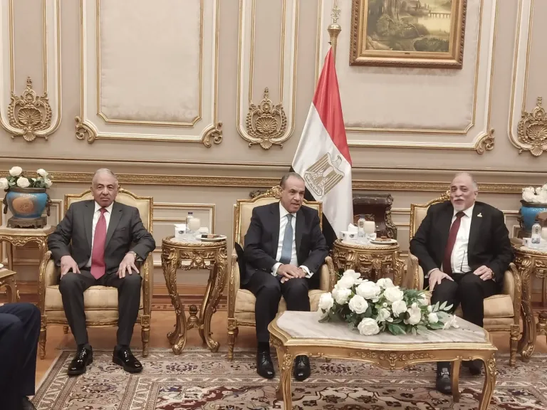 ننشر تفاصيل اجتماع لجنة حقوق الإنسان بالشيوخ بوزير الخارجية