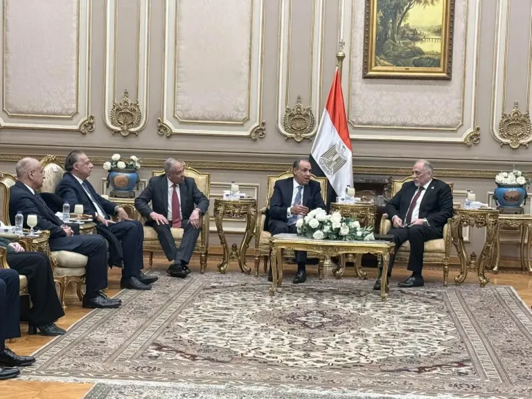 العوضي يشيد بدور وزير الخارجية والدبلوماسية البرلمانية في مواجهة التحديات ودعم ملف حقوق الإنسان