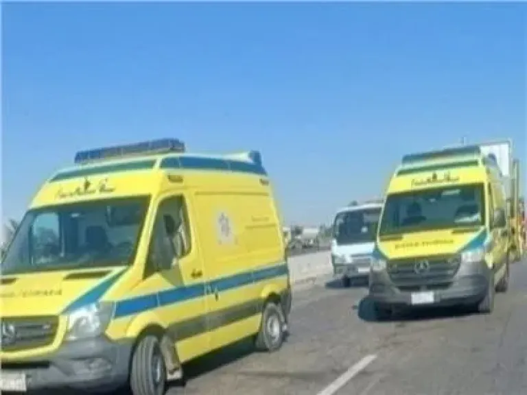 إصابة 8 أشخاص في انقلاب سيارة ميكروباص بطريق المحمودية ـ دسوق بالبحيرة