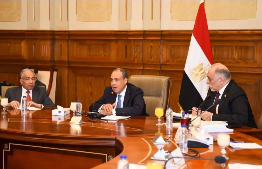 ننشر تفاصيل إجتماع وزير الخارجية بأعضاء لجنة حقوق الإنسان والتضامن بمجلس الشيوخ |صور