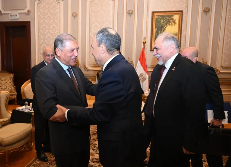 النائب عفت السادات: لقاء وزير الخارجية بمجلس الشيوخ سلط الضوء على ملفات حقوق الإنسان والتنمية والسياسة