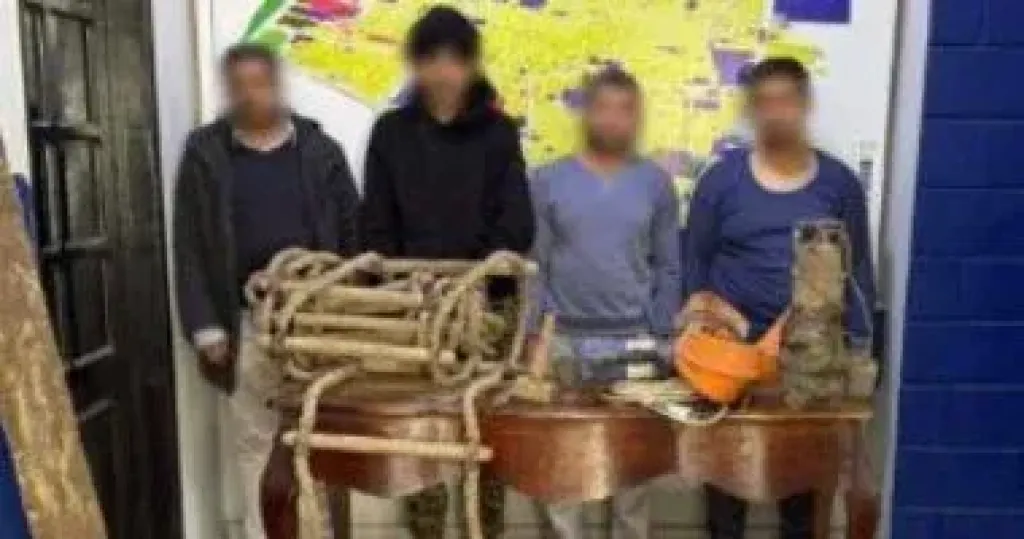 ضبط 4 أشخاص بروض الفرج لقيامهم بالتنقيب غير المشروع عن الآثار