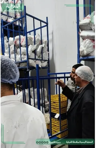 بيطرى الشرقية يضبط  ١٤ طن و ٣٨٠ كجم  لحوم بدون فواتير