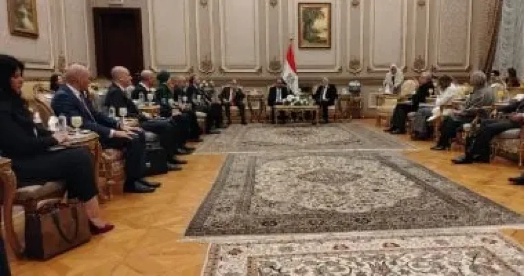 وزير الخارجية: سنرد بالقانون الدولى على أى ضرر من سد النهضة