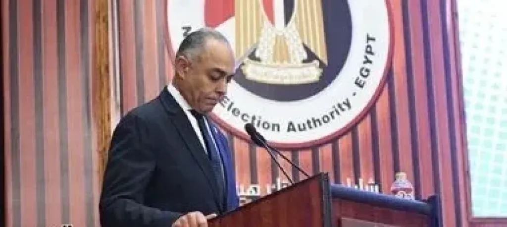 الهيئة الوطنية تنتهى من تجهيزات تصويت الداخل فى الدواير الـ19 الملغاة