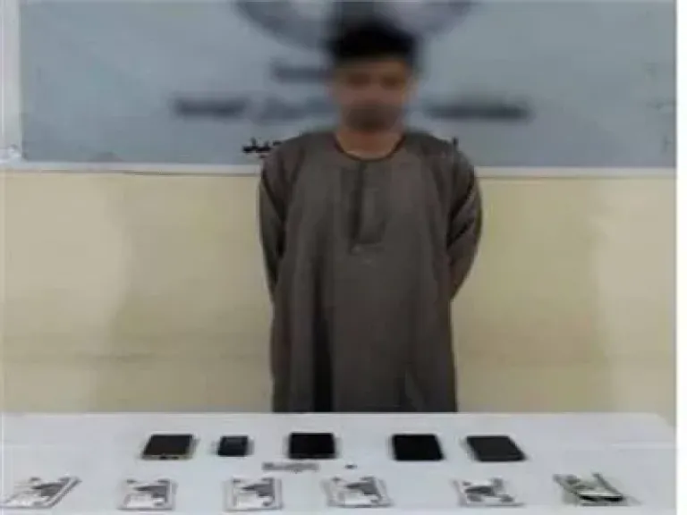 القبض على المتهم بارتكاب 9 جرائم سرقة أموال بطاقات الائتمان