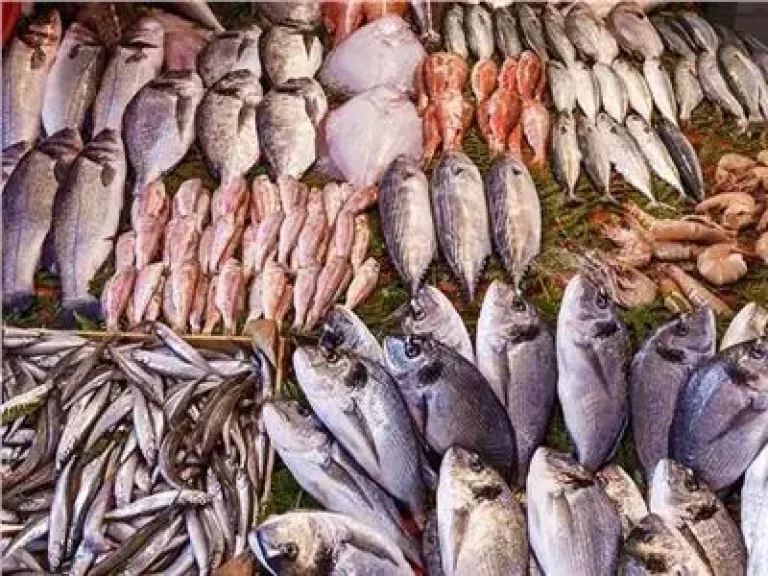 تخفيضات على الأسماك والجمبرى فى أعياد الكريسماس.. اعرف الأسعار