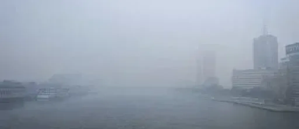 الأرصاد تحذر من الوقوف أسفل الأشجار بسبب نشاط الرياح واستمرار سقوط الأمطار