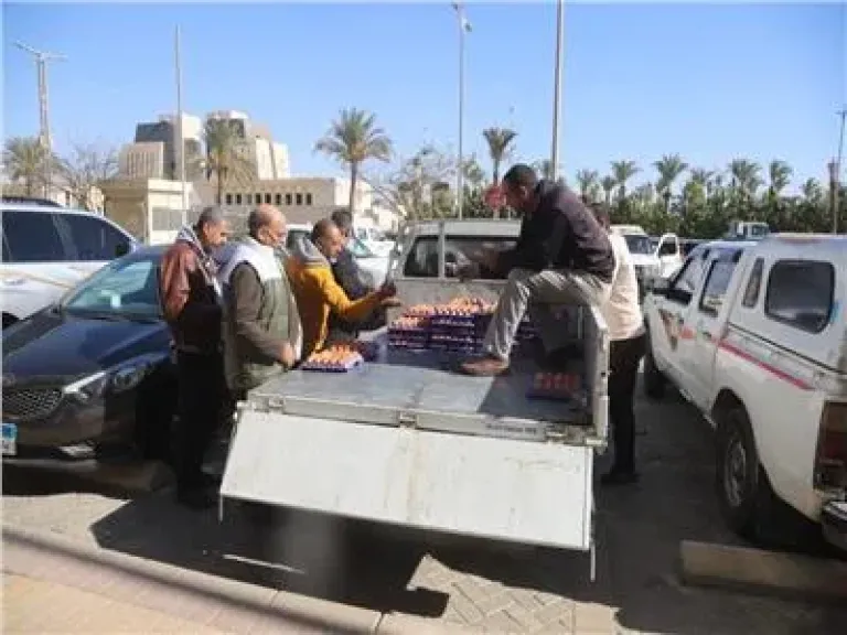 «الزراعة» تطلق منافذ متنقلة لبيع الدواجن والبيض بأسعار مخفضة بالعاصمة الجديدة