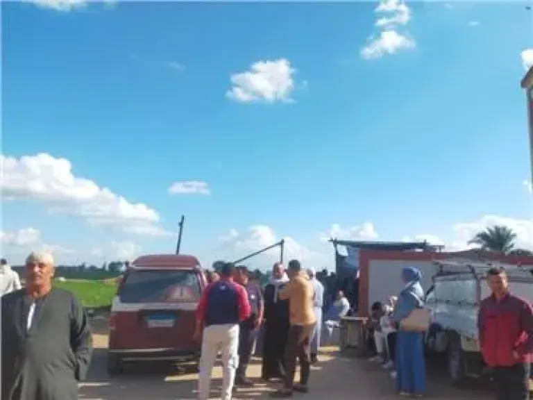 إخلاء سبيل 12 من أنصار المرشحين بالبحيرة بضمان مالي