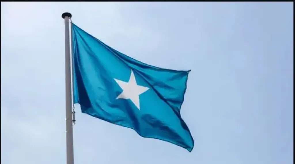 وزير إعلام الصومال الأسبق: مخطط تهجير الفلسطينيين إلى أرض الصومال اعتداء على السيادة