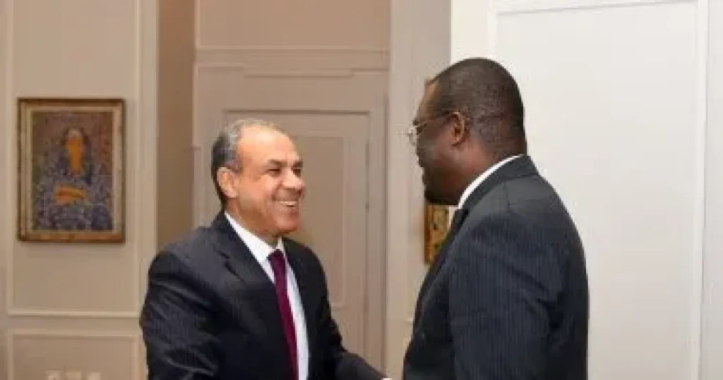 وزير الخارجية يؤكد دعم مصر لتعزيز منظومة الصحة والأمن الدوائى فى أفريقيا