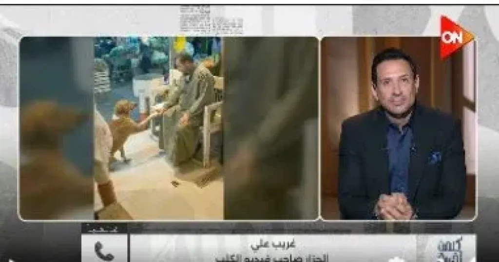 أحمد سالم عن جزار إمبابة ورحمته بالحيوان: الدنيا بخير بمثل هذه النماذج