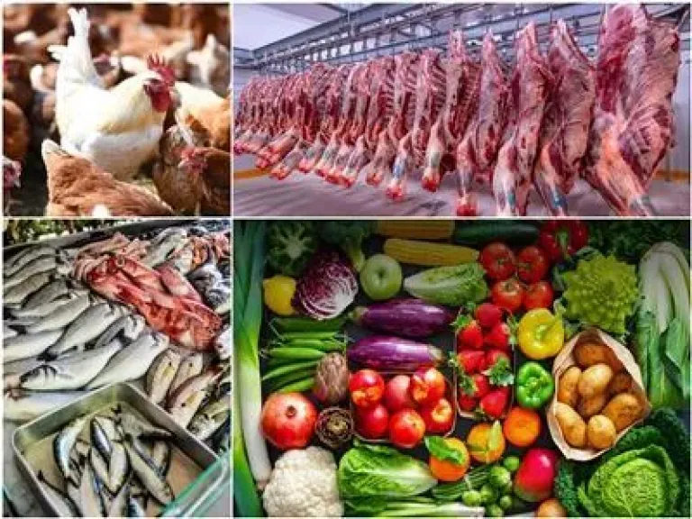 أسعار الأسماك والخضروات والدواجن اليوم الثلاثاء 30 ديسمبر